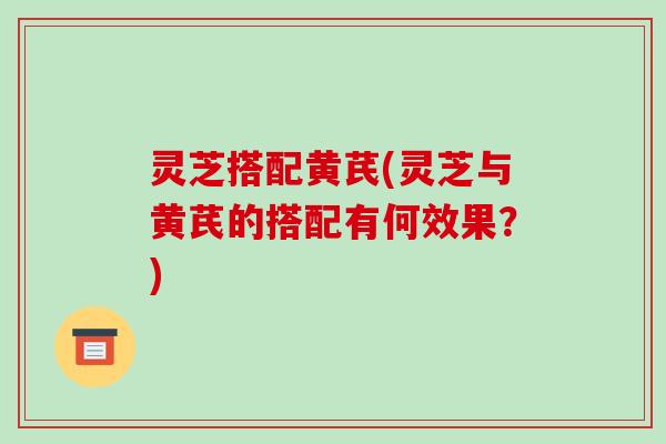 灵芝搭配黄芪(灵芝与黄芪的搭配有何效果?) 灵芝搭配黄芪(灵芝与黄芪的搭配有何效果?)