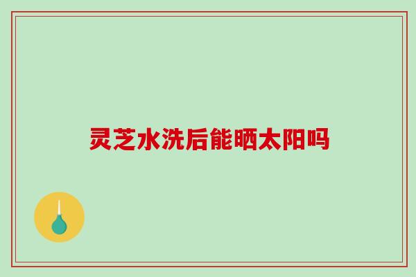 灵芝水洗后能晒太阳吗