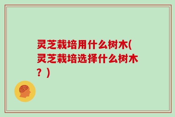 灵芝栽培用什么树木(灵芝栽培选择什么树木?) 灵芝栽培用什么树木(灵芝栽培选择什么树木?)