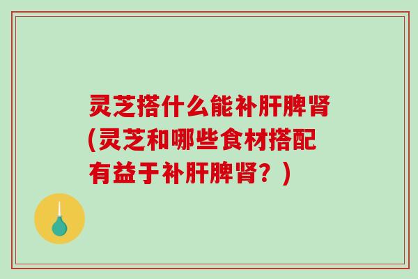灵芝搭什么能补脾(灵芝和哪些食材搭配有益于补脾？)