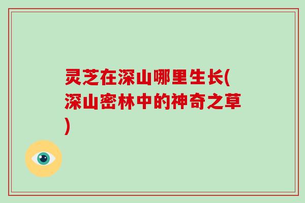 灵芝在深山哪里生长(深山密林中的神奇之草) 灵芝在深山哪里生长(深山密林中的神奇之草)