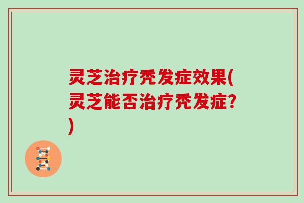 灵芝秃发症效果(灵芝能否秃发症？)