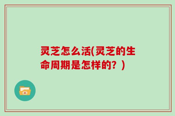 灵芝怎么活(灵芝的生命周期是怎样的?) 灵芝怎么活(灵芝的生命周期是怎样的?)