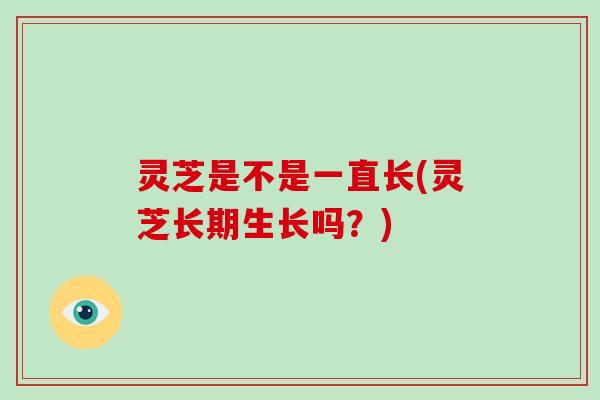 灵芝是不是一直长(灵芝长期生长吗？)