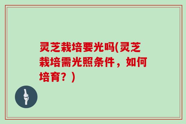 灵芝栽培要光吗(灵芝栽培需光照条件,如何培育?) 灵芝栽培要光吗(灵芝栽培需光照条件,如何培育?)