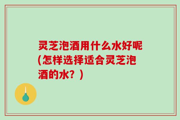 灵芝泡酒用什么水好呢(怎样选择适合灵芝泡酒的水?) 灵芝泡酒用什么水好呢(怎样选择适合灵芝泡酒的水?)
