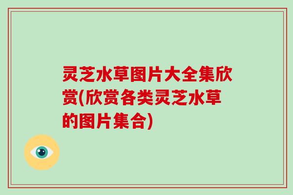 灵芝水草图片大全集欣赏(欣赏各类灵芝水草的图片集合)