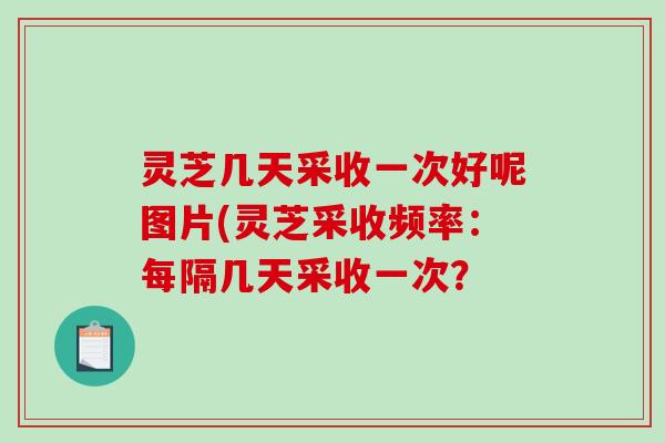 灵芝几天采收一次好呢图片(灵芝采收频率:每隔几天采收一次? 灵芝几天采收一次好呢图片(灵芝采收频率:每隔几天采收一次?