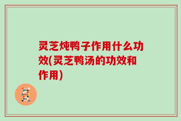 灵芝炖鸭子作用什么功效(灵芝鸭汤的功效和作用)