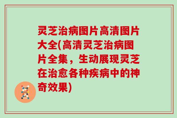 灵芝图片高清图片大全(高清灵芝图片全集,生动展现灵芝在愈各种中的神奇效果) 灵芝图片高清图片大全(高清灵芝图片全集,生动展现灵芝在愈各种中的神奇效果)