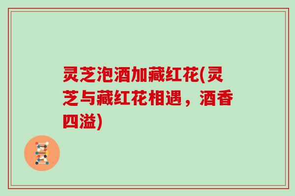 灵芝泡酒加藏红花(灵芝与藏红花相遇，酒香四溢)