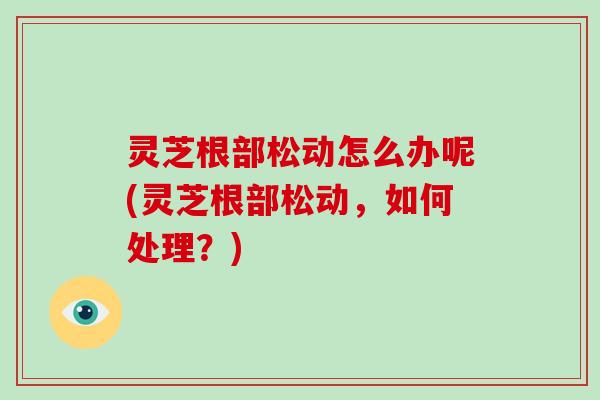 灵芝根部松动怎么办呢(灵芝根部松动,如何处理?) 灵芝根部松动怎么办呢(灵芝根部松动,如何处理?)