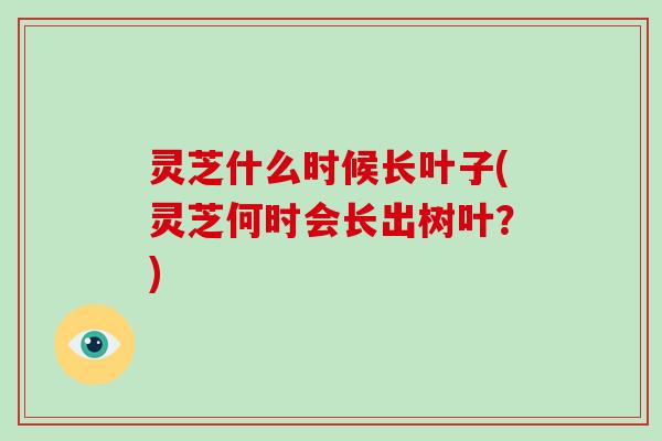 灵芝什么时候长叶子(灵芝何时会长出树叶?) 灵芝什么时候长叶子(灵芝何时会长出树叶?)