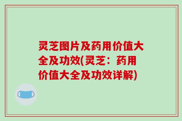 灵芝图片及药用价值大全及功效(灵芝:药用价值大全及功效详解) 灵芝图片及药用价值大全及功效(灵芝:药用价值大全及功效详解)
