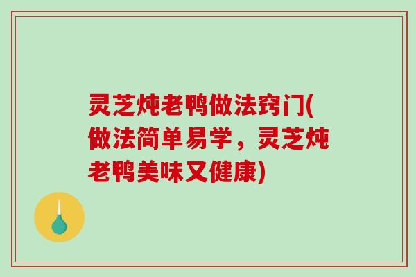 灵芝炖老鸭做法窍门(做法简单易学,灵芝炖老鸭美味又健康) 灵芝炖老鸭做法窍门(做法简单易学,灵芝炖老鸭美味又健康)