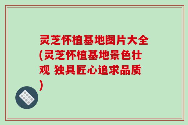 灵芝怀植基地图片大全(灵芝怀植基地景色壮观 独具匠心追求品质)