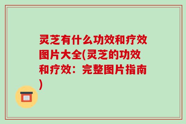 灵芝有什么功效和疗效图片大全(灵芝的功效和疗效:完整图片指南) 灵芝有什么功效和疗效图片大全(灵芝的功效和疗效:完整图片指南)