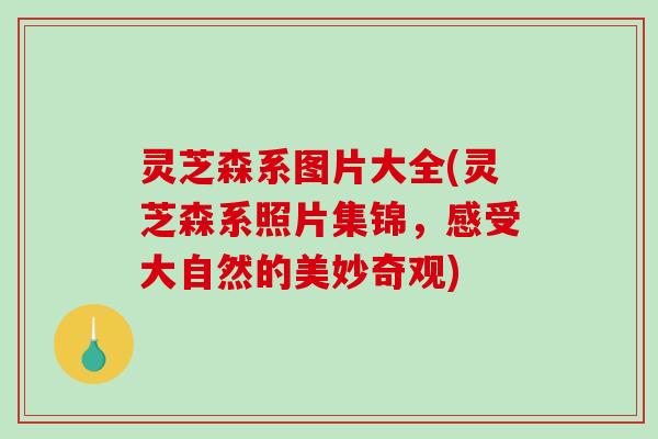 灵芝森系图片大全(灵芝森系照片集锦，感受大自然的美妙奇观)
