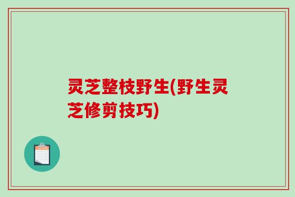 灵芝整枝野生(野生灵芝修剪技巧)