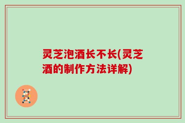 灵芝泡酒长不长(灵芝酒的制作方法详解) 灵芝泡酒长不长(灵芝酒的制作方法详解)