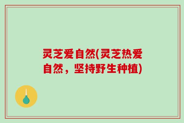 灵芝爱自然(灵芝热爱自然，坚持野生种植)