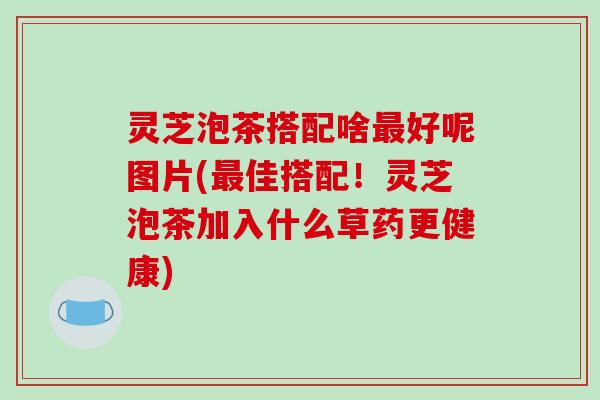 灵芝泡茶搭配啥最好呢图片(最佳搭配！灵芝泡茶加入什么草药更健康)