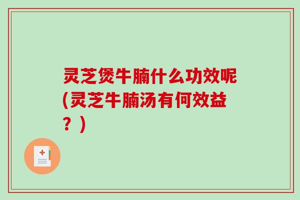 灵芝煲牛腩什么功效呢(灵芝牛腩汤有何效益？)