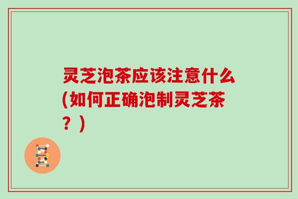 灵芝泡茶应该注意什么(如何正确泡制灵芝茶？)