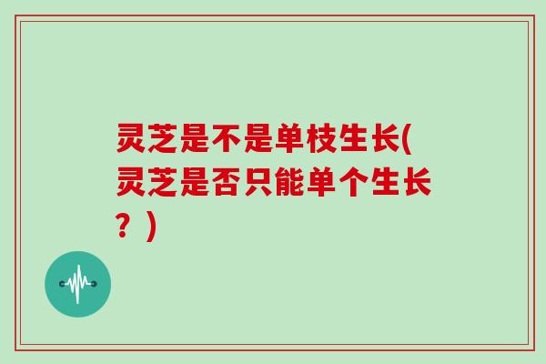 灵芝是不是单枝生长(灵芝是否只能单个生长?) 灵芝是不是单枝生长(灵芝是否只能单个生长?)
