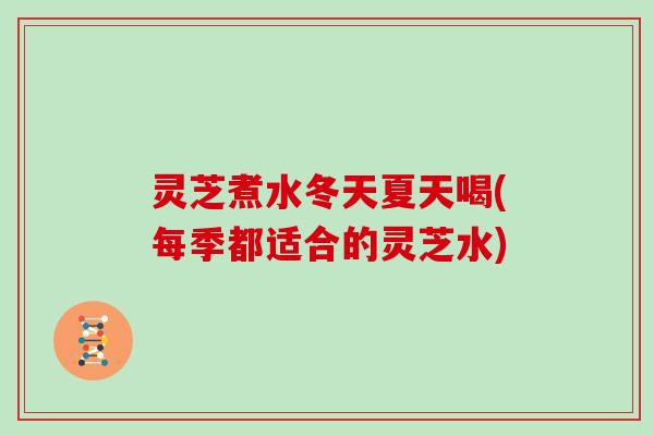 灵芝煮水冬天夏天喝(每季都适合的灵芝水)