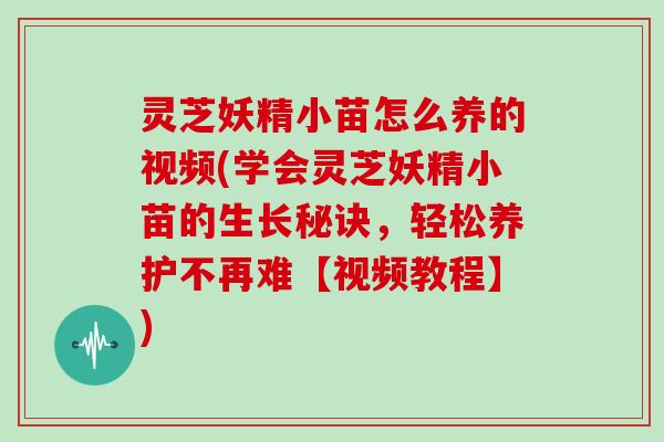 灵芝妖精小苗怎么养的视频(学会灵芝妖精小苗的生长秘诀，轻松养护不再难【视频教程】)