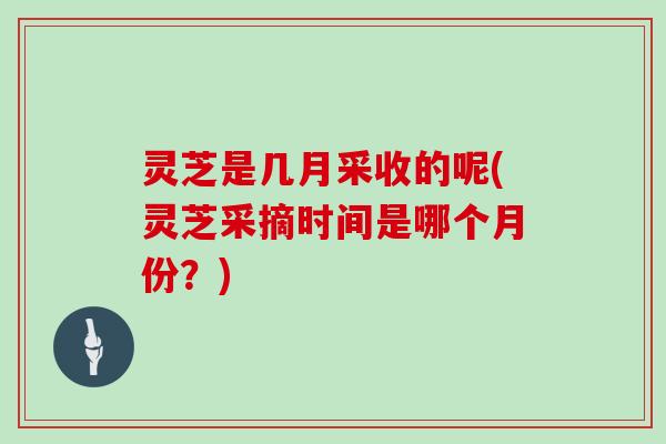 灵芝是几月采收的呢(灵芝采摘时间是哪个月份？)