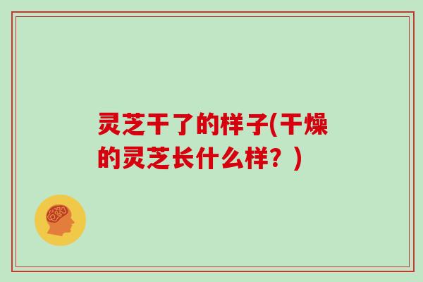 灵芝干了的样子(干燥的灵芝长什么样？)