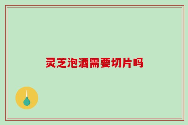 灵芝泡酒需要切片吗