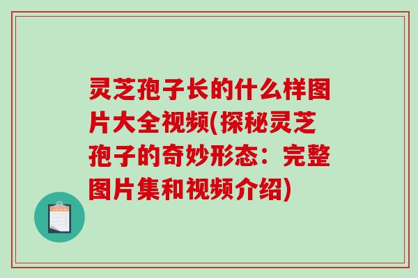 灵芝孢子长的什么样图片大全视频(探秘灵芝孢子的奇妙形态：完整图片集和视频介绍)