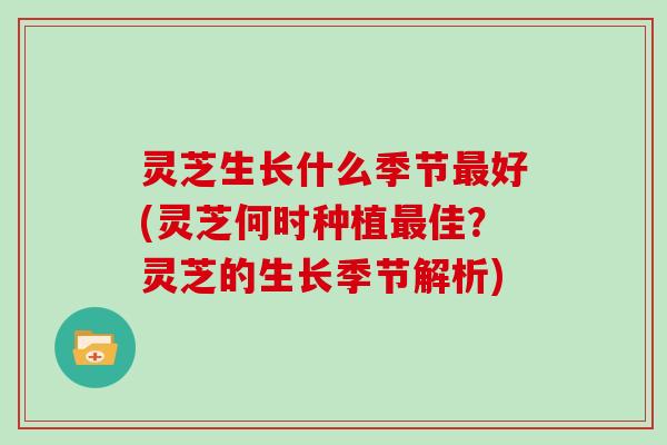 灵芝生长什么季节好(灵芝何时种植佳？灵芝的生长季节解析)