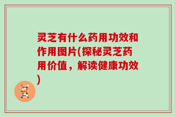 灵芝有什么药用功效和作用图片(探秘灵芝药用价值，解读健康功效)