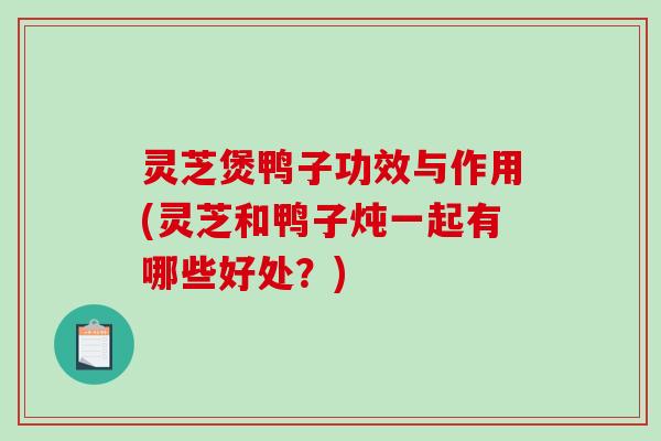 灵芝煲鸭子功效与作用(灵芝和鸭子炖一起有哪些好处？)