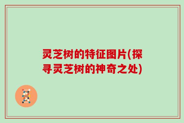 灵芝树的特征图片(探寻灵芝树的神奇之处)