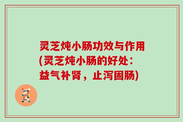 灵芝炖小肠功效与作用(灵芝炖小肠的好处：益气补，止泻固肠)