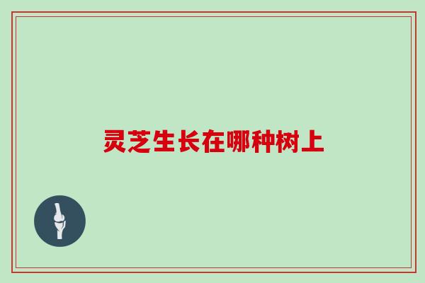 灵芝生长在哪种树上