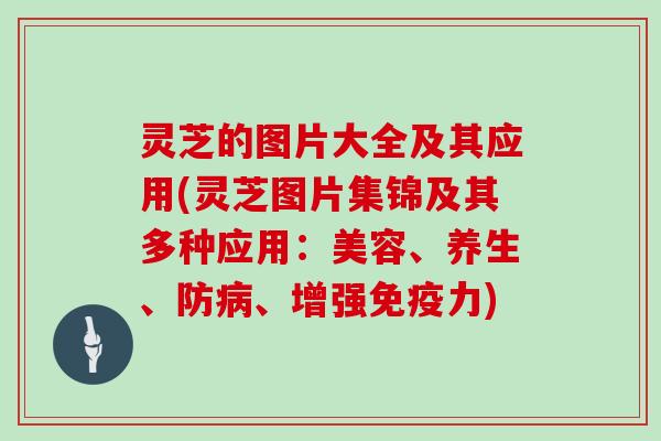 灵芝的图片大全及其应用(灵芝图片集锦及其多种应用：美容、养生、防病、增强免疫力)