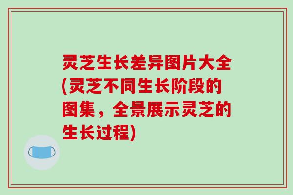 灵芝生长差异图片大全(灵芝不同生长阶段的图集，全景展示灵芝的生长过程)
