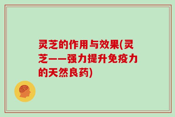 灵芝的作用与效果(灵芝——强力提升免疫力的天然良药)