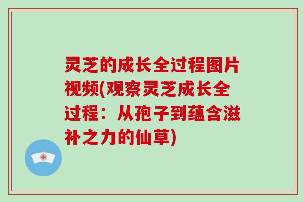 灵芝的成长全过程图片视频(观察灵芝成长全过程：从孢子到蕴含滋补之力的仙草)
