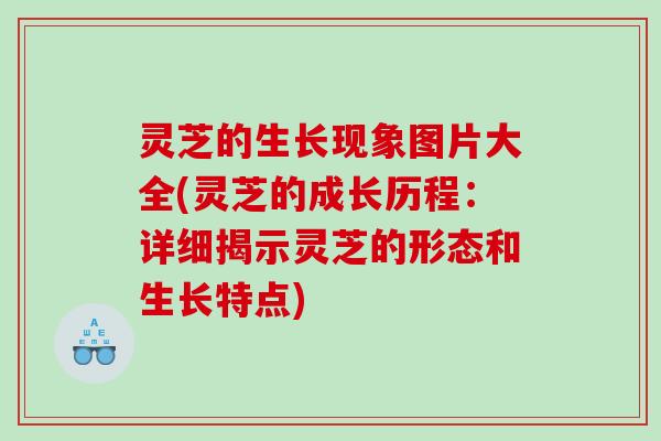 灵芝的生长现象图片大全(灵芝的成长历程：详细揭示灵芝的形态和生长特点)