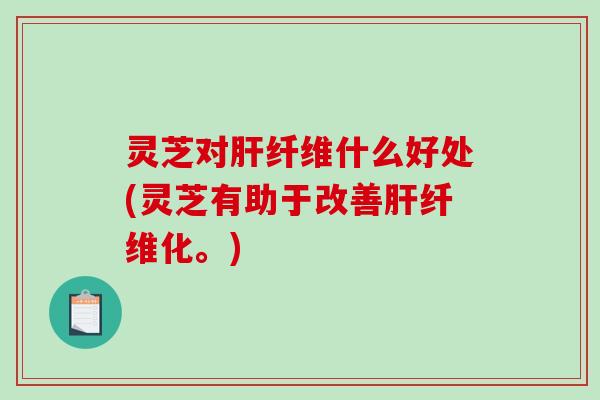 灵芝对纤维什么好处(灵芝有助于改善纤维化。)