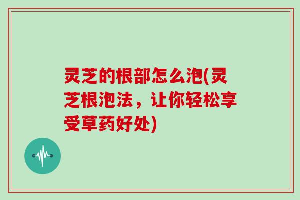 灵芝的根部怎么泡(灵芝根泡法,让你轻松享受草药好处) 灵芝的根部怎么泡(灵芝根泡法,让你轻松享受草药好处)