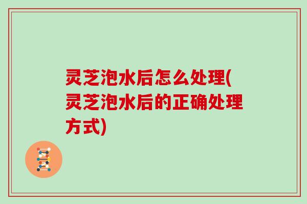 灵芝泡水后怎么处理(灵芝泡水后的正确处理方式) 灵芝泡水后怎么处理(灵芝泡水后的正确处理方式)