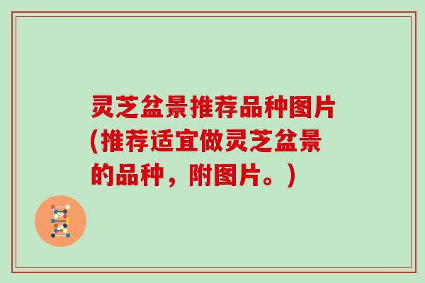 灵芝盆景推荐品种图片(推荐适宜做灵芝盆景的品种，附图片。)